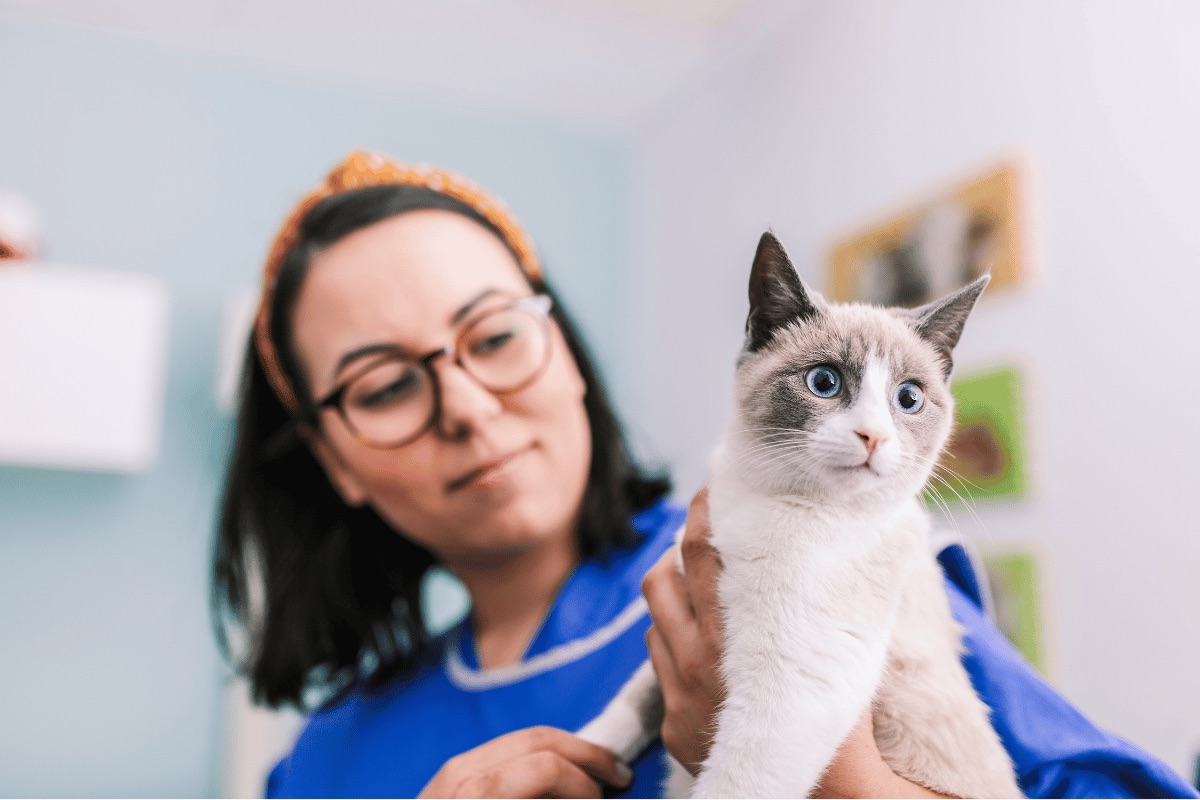 PrimVeterinary - Evidence-Based Veterinary Knowledge Platform